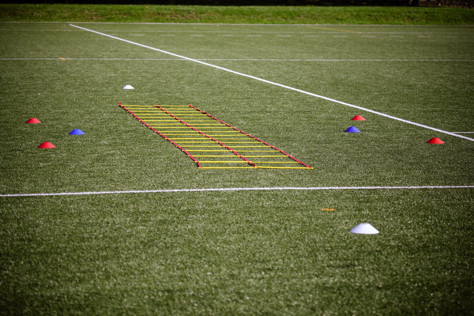 Agility Cone Set